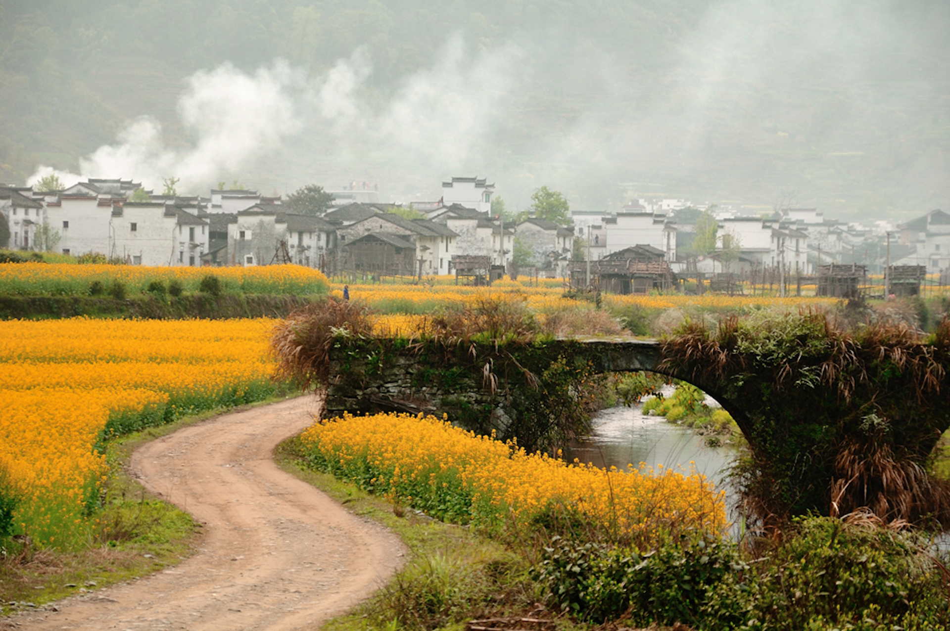 an atmospheric photo of an old Chinese village sitting among low clouds, behind fields of orange flowers and a river