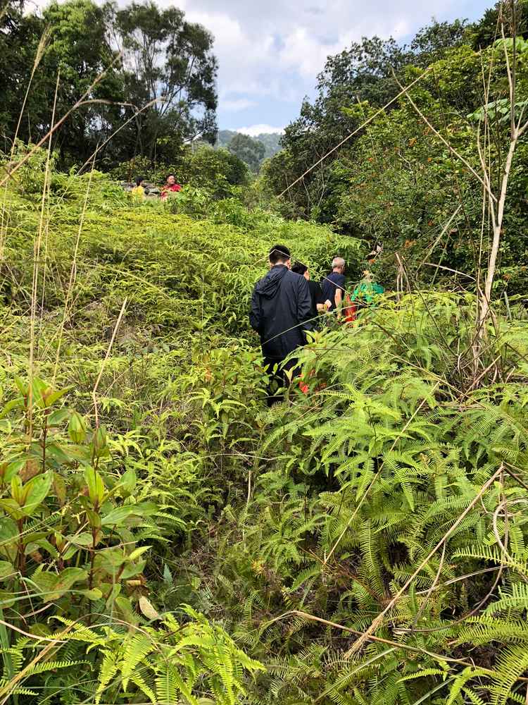 Family hikes the path to their graves for Tomb Sweeping Day